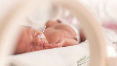 Born too soon: improving preterm birth pregnancy care across Aotearoa