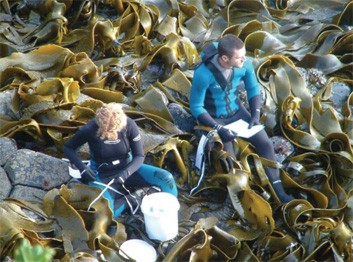 cl-kelp-scientists