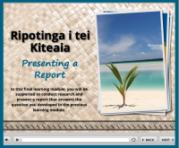 Kiteaia Report