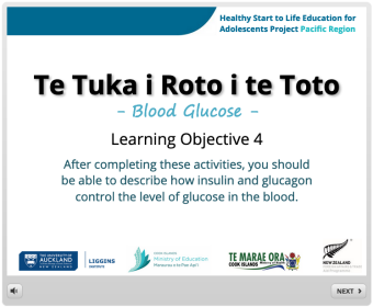 LO4 Blood Glucose
