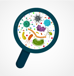Cartoon image of a microscope looking at various microbes.