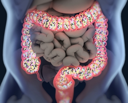 Cartoon image of faeces on a petri dish.