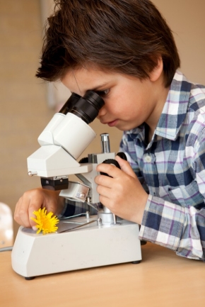 Boy - Science Microscope iStock_000012707223Small
