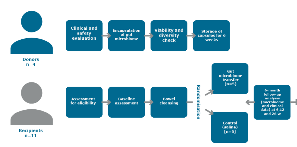 Diagram of the Gut Bugs trial study design.