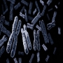 icon-1-istock