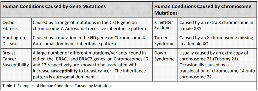 is down syndrome a dominant or recessive trait