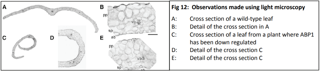 Plant Growth Retardants: A Case Study