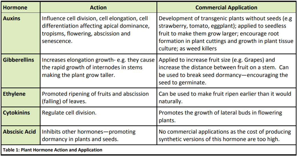 Plant hormones table new arrivals
